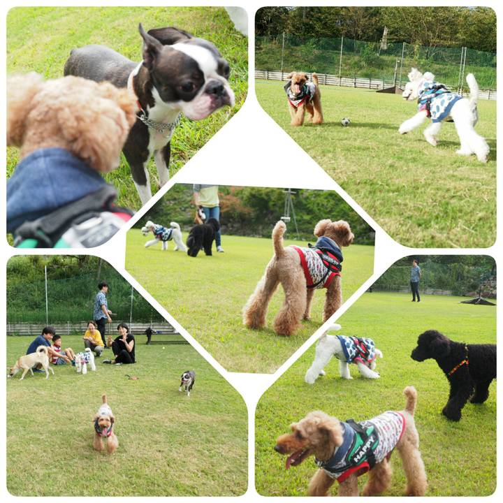 De4b9592 9aff 47c6 9678 2ec3da187aa1 1537224252786