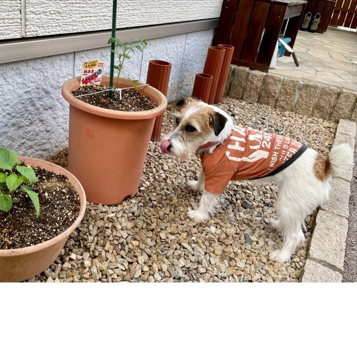 De4bb553 a00b 4919 be46 48e66a3412a5 1653295663823