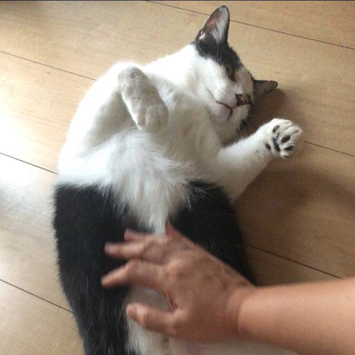 De4bbac1 45fe 4479 98e3 0a68585e1bf9 1597883529923