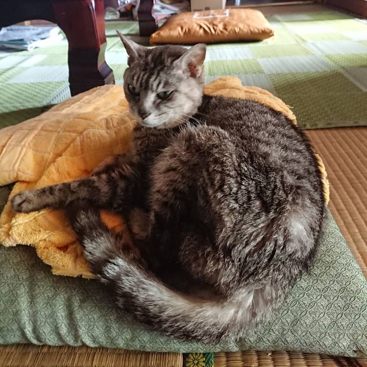 De4c1b1c 2f9b 4372 aef7 5b826fe3b9f3 1593224433955