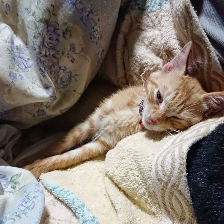 De4c6950 b446 478a a1a6 f6a00677266f 1631192794200