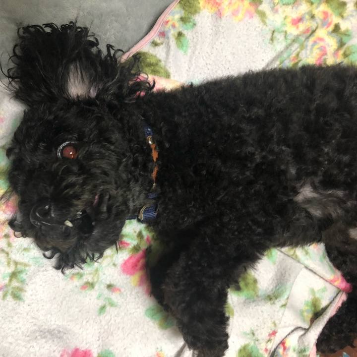 De4c8d55 20ce 4e0d 9ed4 88f9a1d5d9e6 1591323762883