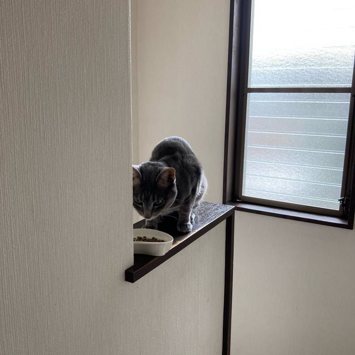 De4cbc6f dbb6 41ea 9576 659bffb1460d 1654689294236