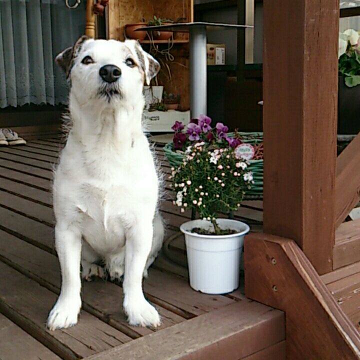 De4cf4f6 f880 4c8a 9ddd 7752ed09972b 1518737891539