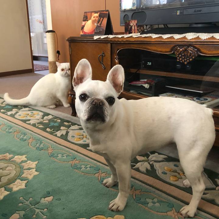 De4cf8ce d48d 4c51 9b32 9440c2594ef1 1683086730930