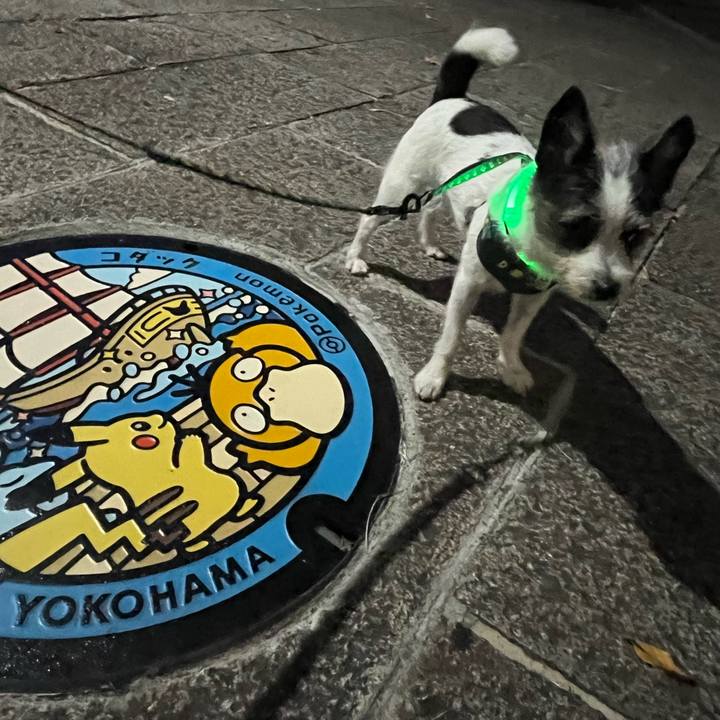 De4d3662 b3b8 4294 bc4f a6a0b32aa952 1699001174140