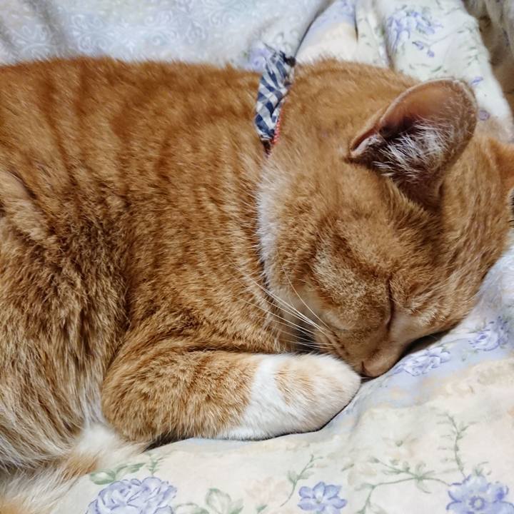 De4d947b 41e3 423a a9f6 eb655e72a08a 1575636233591