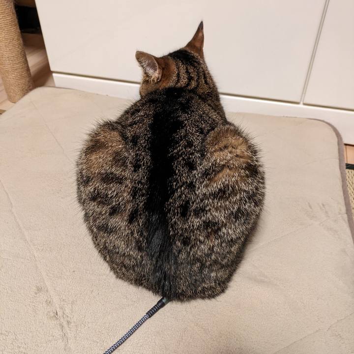 De4da30b baff 46a4 95f7 23db79407060 1692532788066