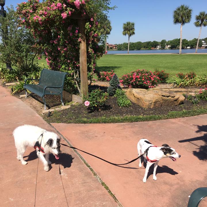 De4ddb15 6740 43b1 81d0 f9652554e47c 1560860968291