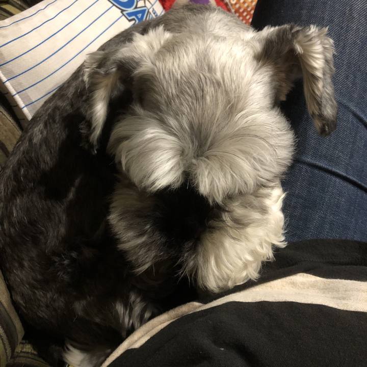 De4ddc44 7833 486f a24e b6e44dd2694b 1564920029066