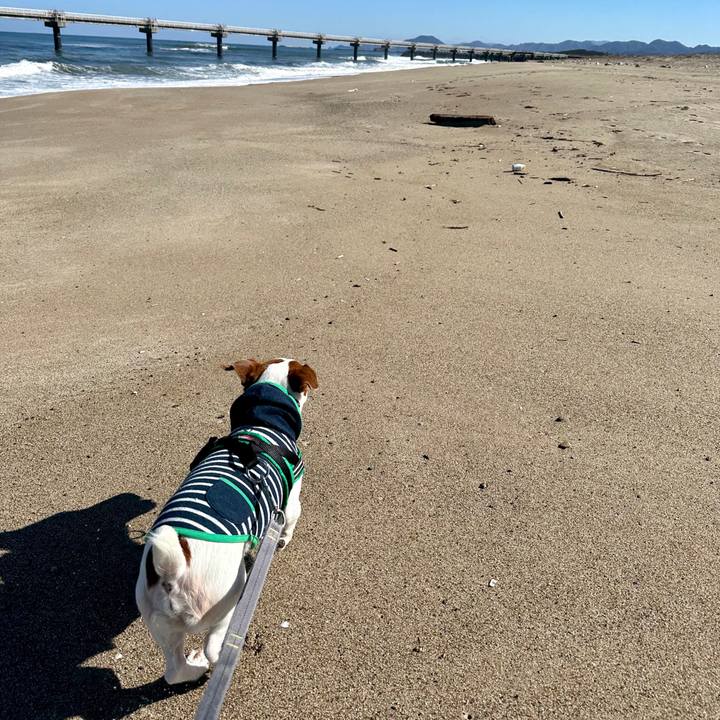 De4df1e4 5839 43bb b786 4bd199ed350f 1709205549174