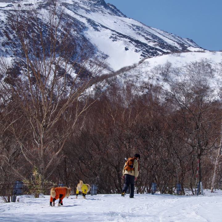 De4e5c9e d342 49c2 8fbd 9e9b192dcbb0 1614690810885