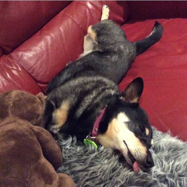 De4e5de9 4792 47fe ba6c 8218a92531d9 1763633204072