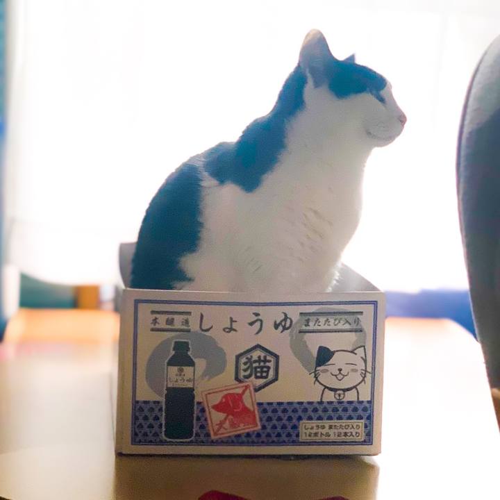 De4eaffc 936b 4484 ae58 a30ff79fea26 1579142922096