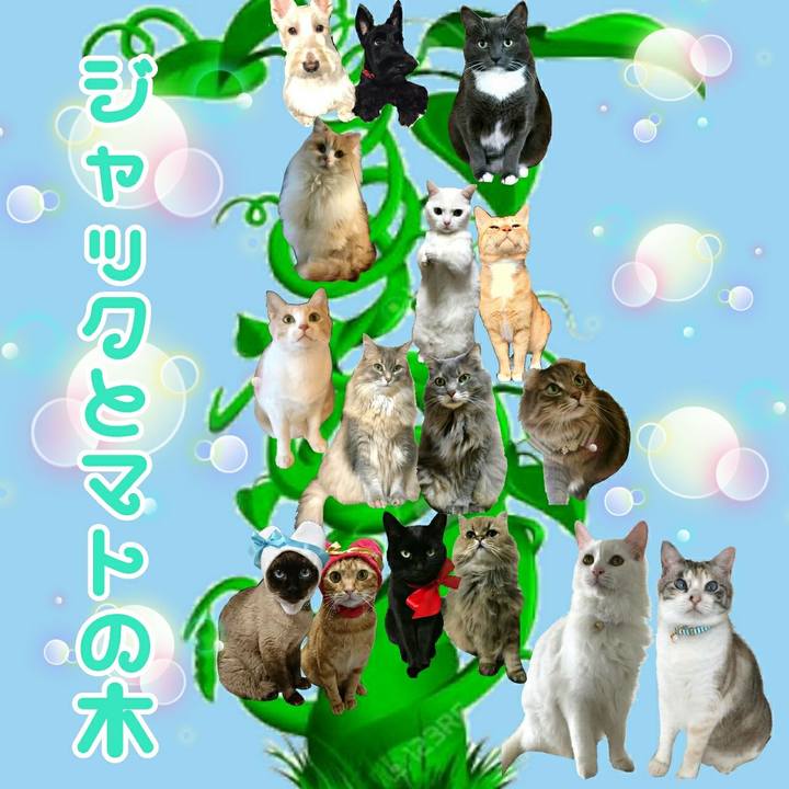 De4efe1a 91d3 4414 aec9 74073df97725 1557057860154