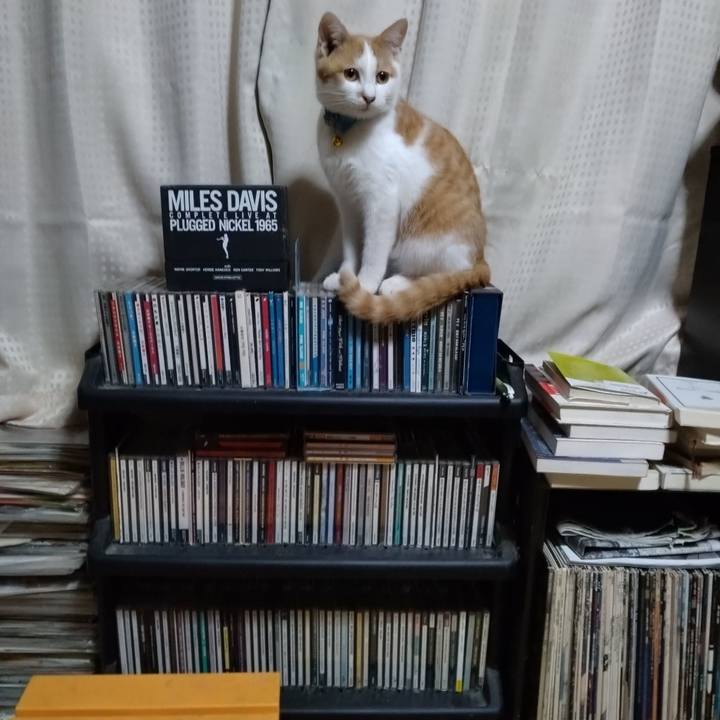 De4f01eb 9322 4e29 9532 c23f2fd416bc 1734599921896