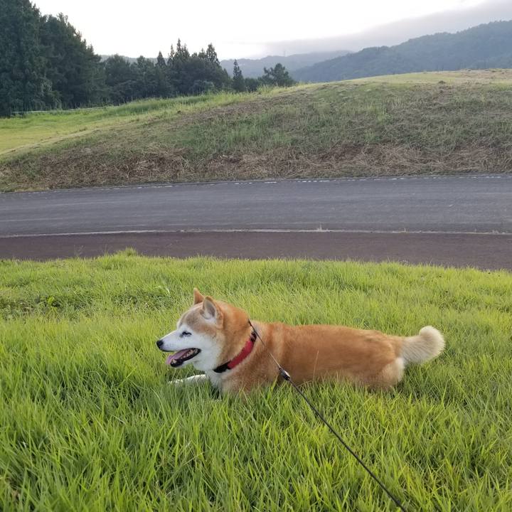 De4f3364 9e0e 44b2 a545 b86aadc8f91e 1723970738619