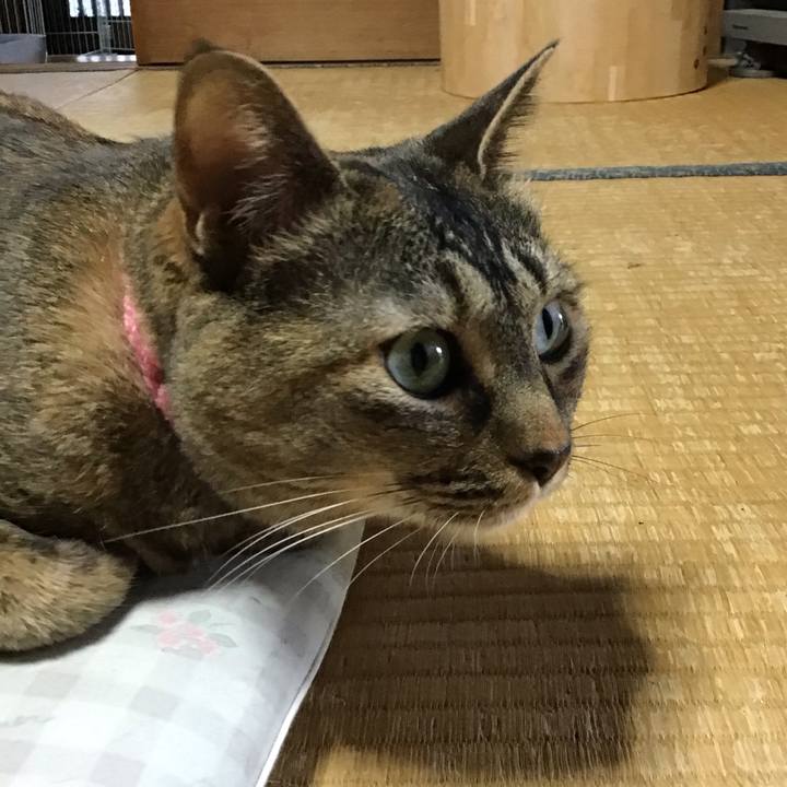 De4f3506 c5e6 473b b00d 45ab1196f3ad 1750587352938