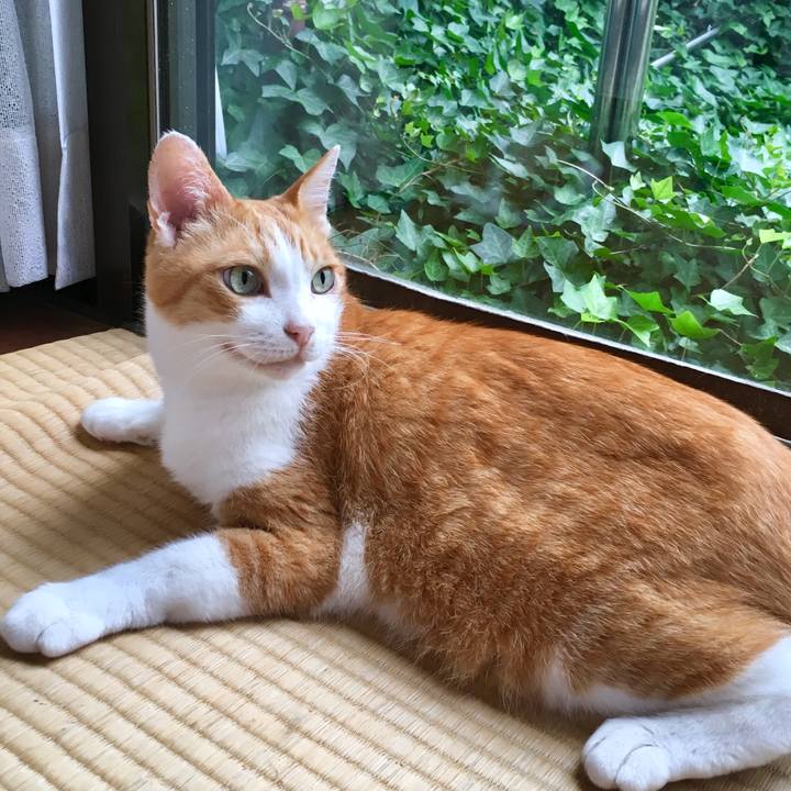 De4f4e30 16f3 444a b54b 9372bff473d9 1566102822811