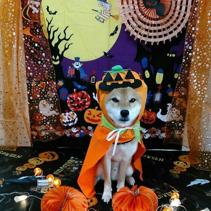 De4f5947 347f 48a4 96a3 cf33099cc3b3 1570068334771