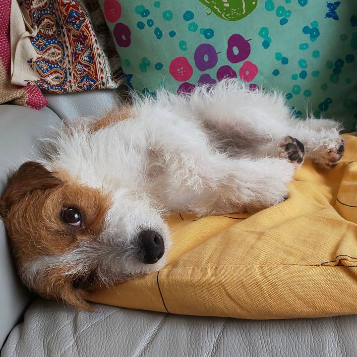 De4f755c c69b 4a3f ae2f 9b96bcd47095 1564373583115