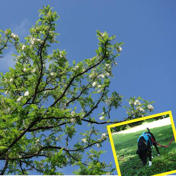 De4f7a4b d3bd 427a a657 18dbd0242344 1619744946366