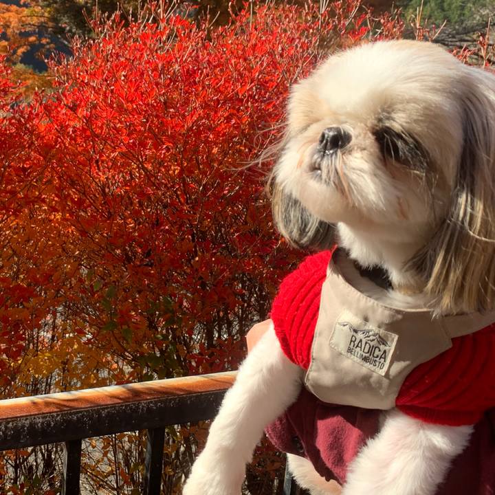 De4f86bc b7d7 4a15 b864 5b7f28f4777b 1701615871990