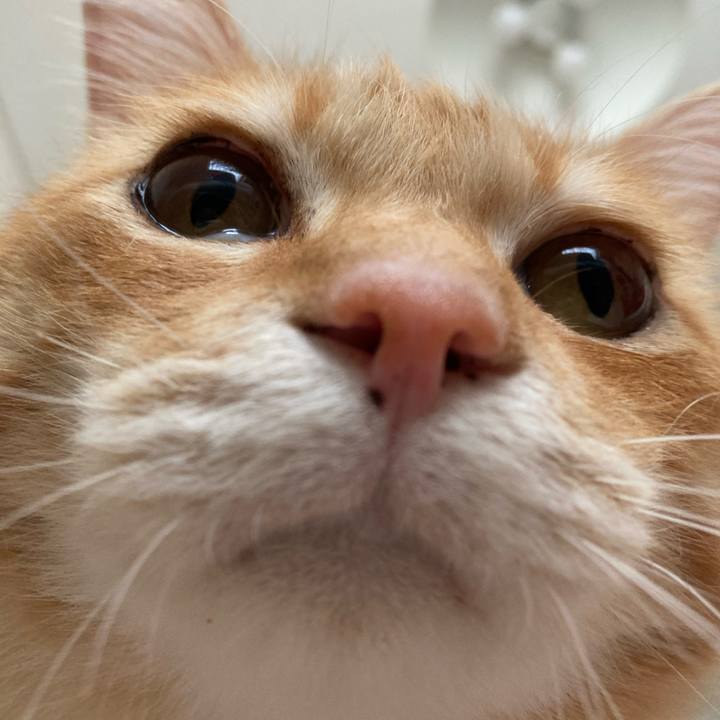 De4f8815 11e0 4aa2 a0a9 81da2f9298f7 1757809694019