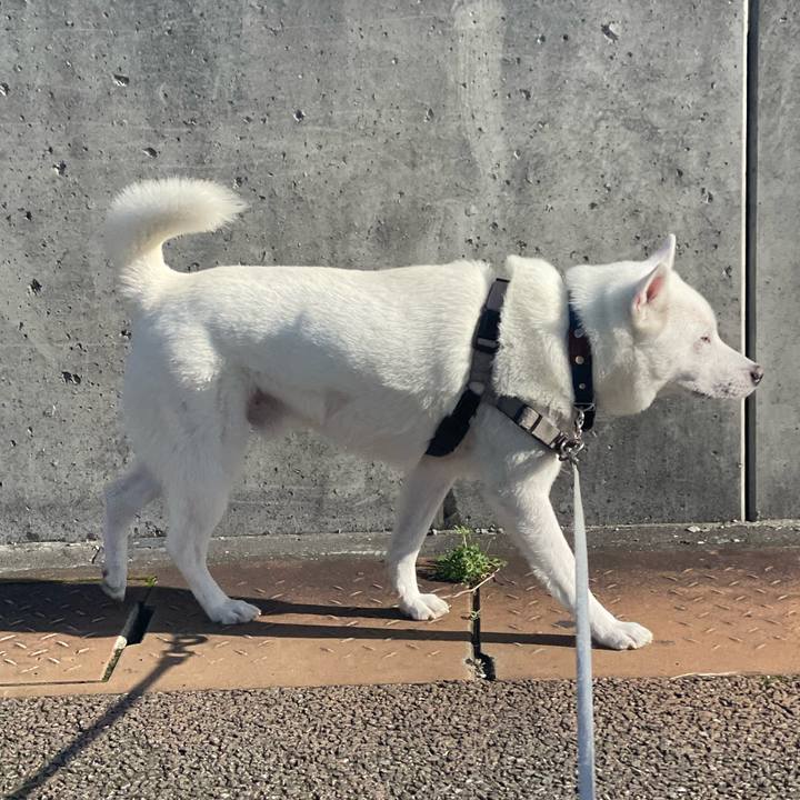 De4fb7f5 d0d1 41e8 a823 88ccde079b18 1708753047330