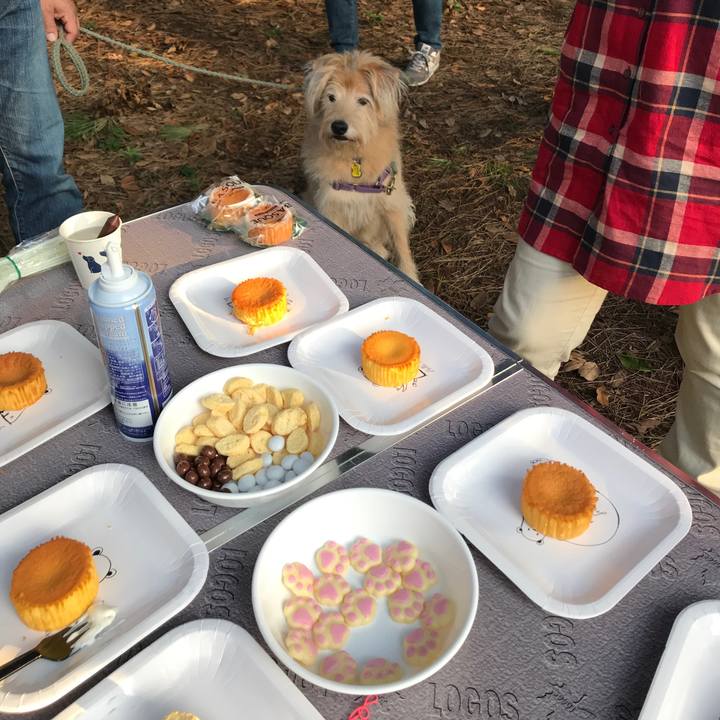 De4fd06e 6f39 4396 8137 234589dcc859 1572923934595