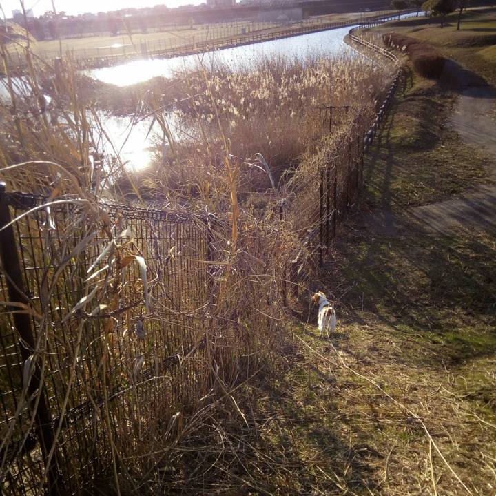 De4fdab1 79da 45cc b5f6 902745bbe276 1518162514359