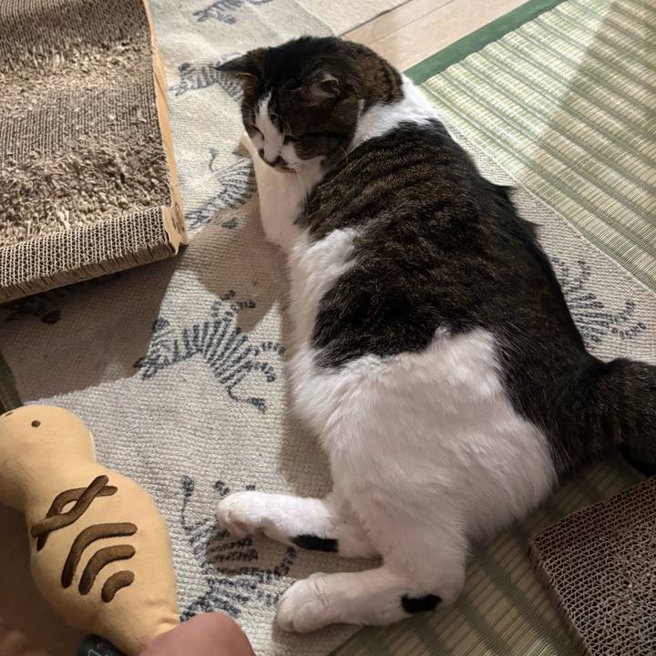 De4feb82 f9d7 4833 b8c7 625112c19db5 1757978236231