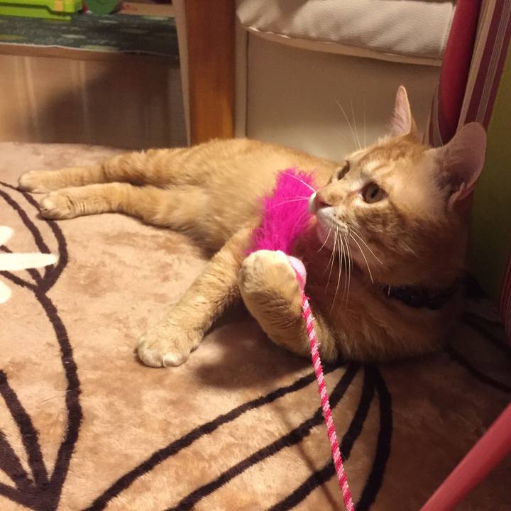 De4fee09 77ac 4d4c 94fa a8b8f5fdb87d 1524405127591