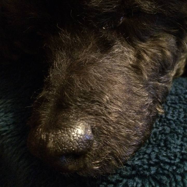 De5005e0 6d70 448d b85f c484869b497b 1546179479560