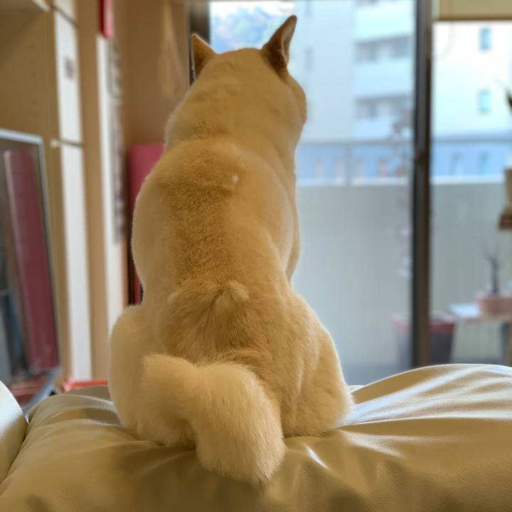 De504441 0c37 4746 ba8a b2c84c4c768c 1553577981354