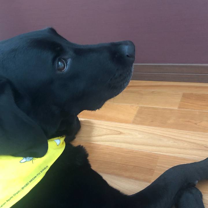 De505638 7b62 415b 89fe 3349346ad053 1625662139734