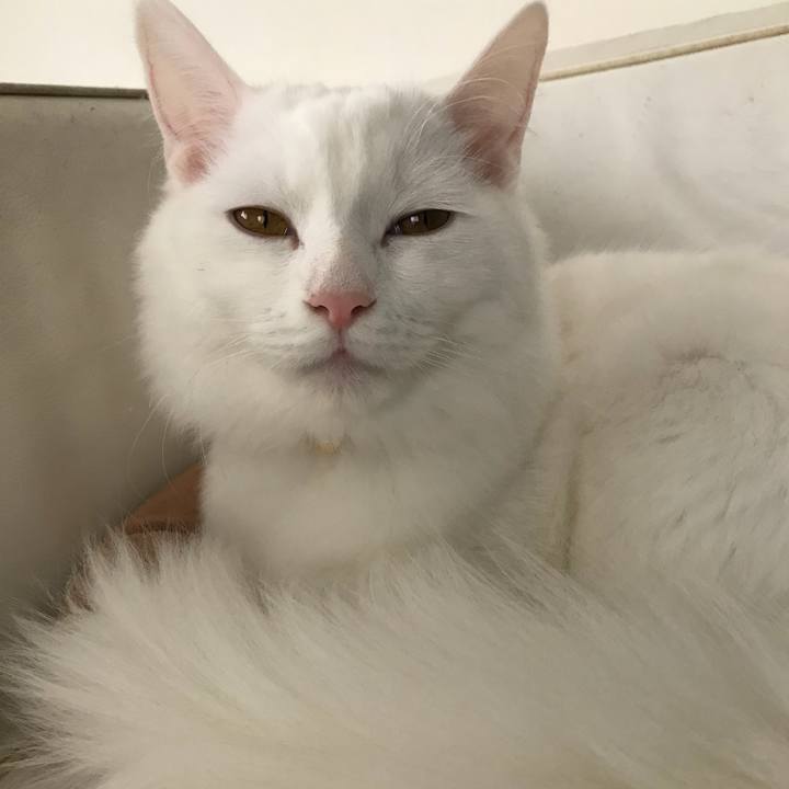 De50f494 3a59 4087 bb1c 45cf9c39b470 1517716017764