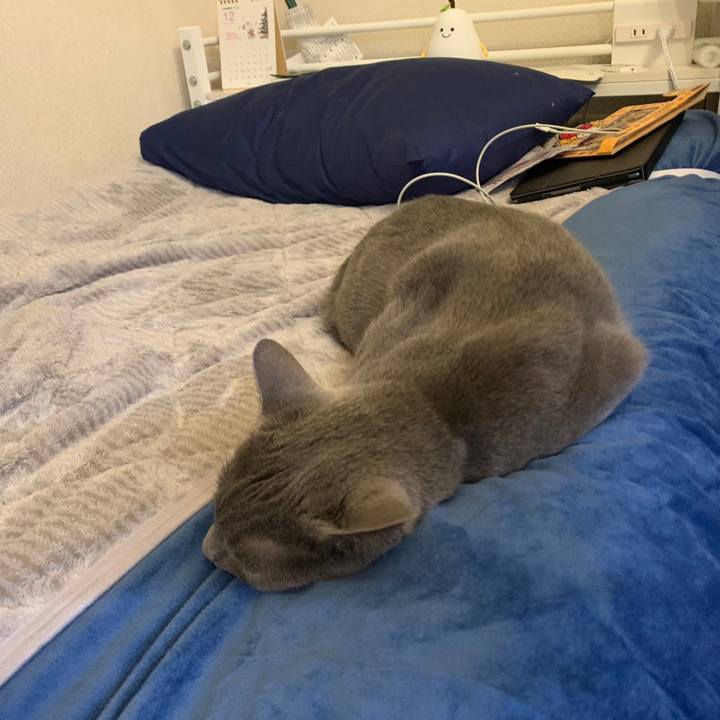 De5117d8 86f3 4be2 9900 0fd774718464 1672499547671