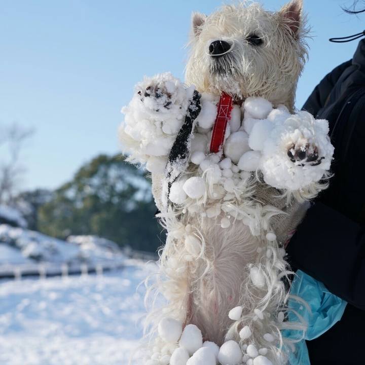 De514041 a1be 425e 9524 321400f29fe8 1516677011811