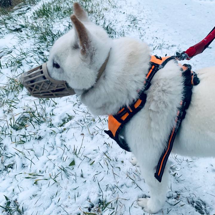 De514302 c802 4ef0 b69b d86b271d1c67 1669762330634