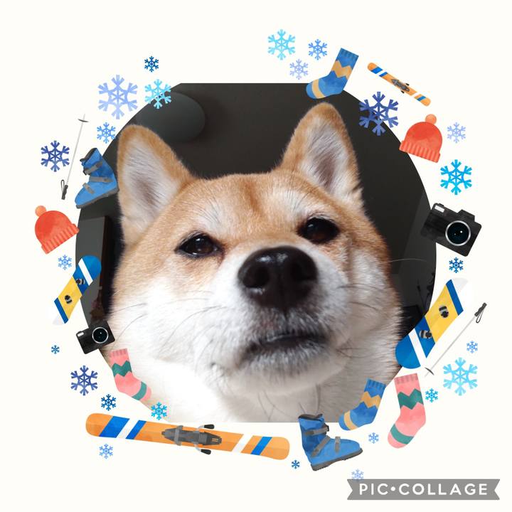 De5151c5 b461 483d 9464 2a04ce8cde6e 1736747887943