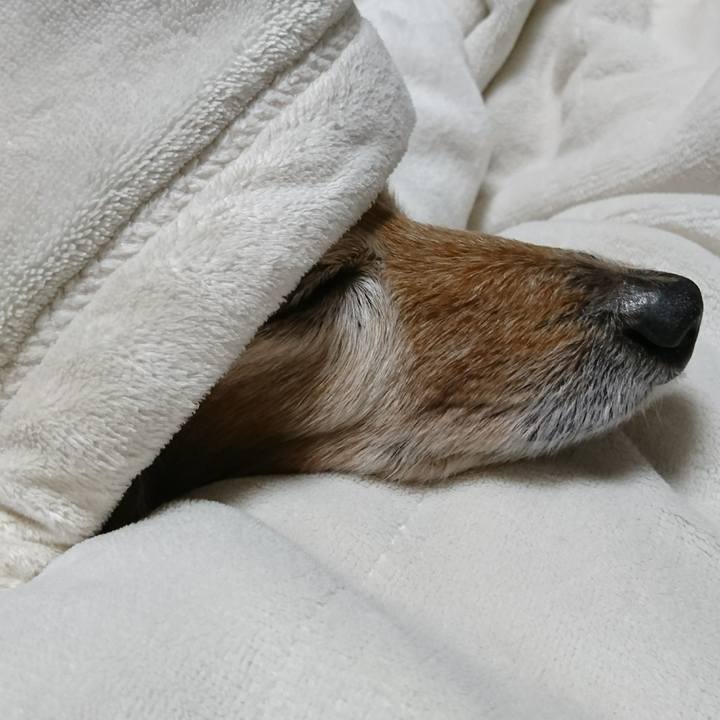 De5162ed 645b 4a0f b928 d4235a34a45c 1518110825183