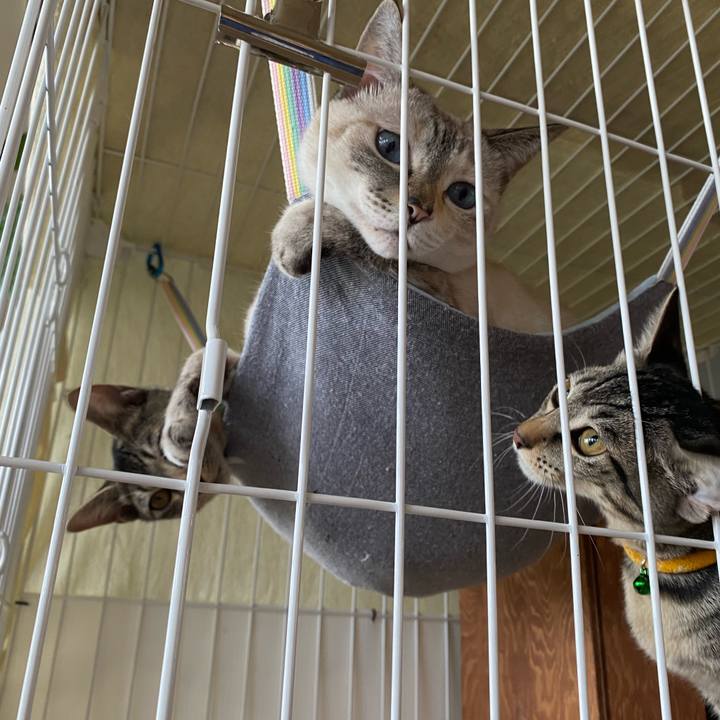 De517591 ded4 4033 b5ed 46df88fd21f5 1726971620766