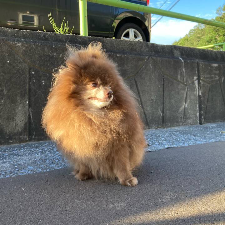 De518139 4ca3 4488 84db 360628e5a7ed 1725224253925