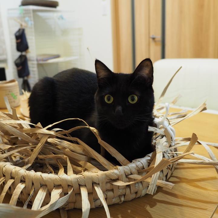 De518c98 d0f6 4d5b 97c7 4f061df49360 1545898213745