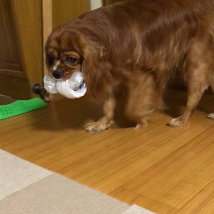 De51b4e8 30de 446d 9392 afe9f0b455f8 1594552004349