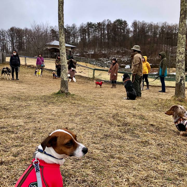 De51e4a2 470c 437f bb82 bc2b5a8fb2f9 1583234429643