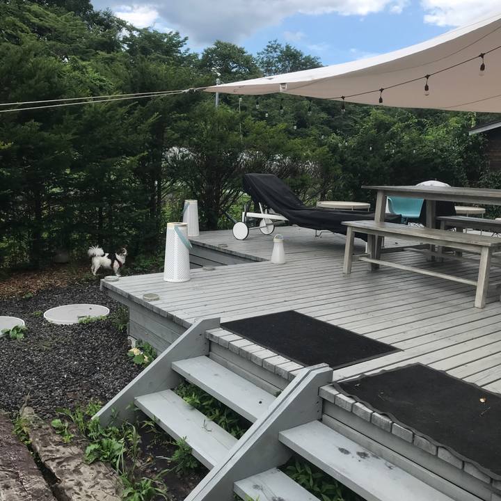 De51ecf0 b61d 40b1 84bf 3b14c150fe72 1659336514113