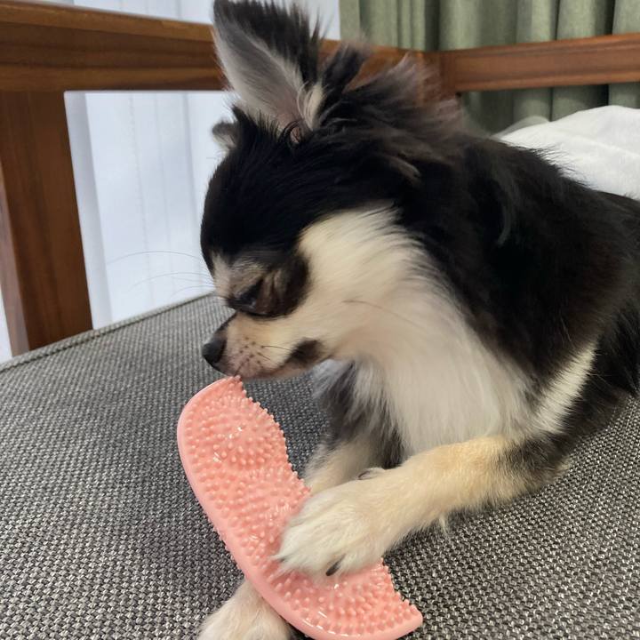 De51fca2 736f 49e0 a612 7bc423321aa6 1628826847672