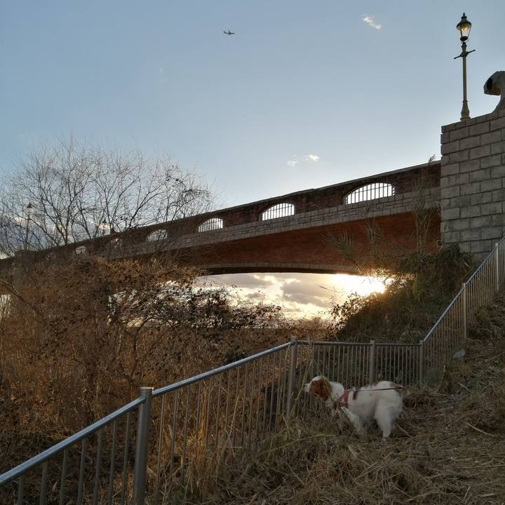 De5211ac 9625 481c a3fe a0ded16192b5 1610180253267